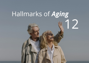Altersforschung-Kennzeichen-des-Alterns