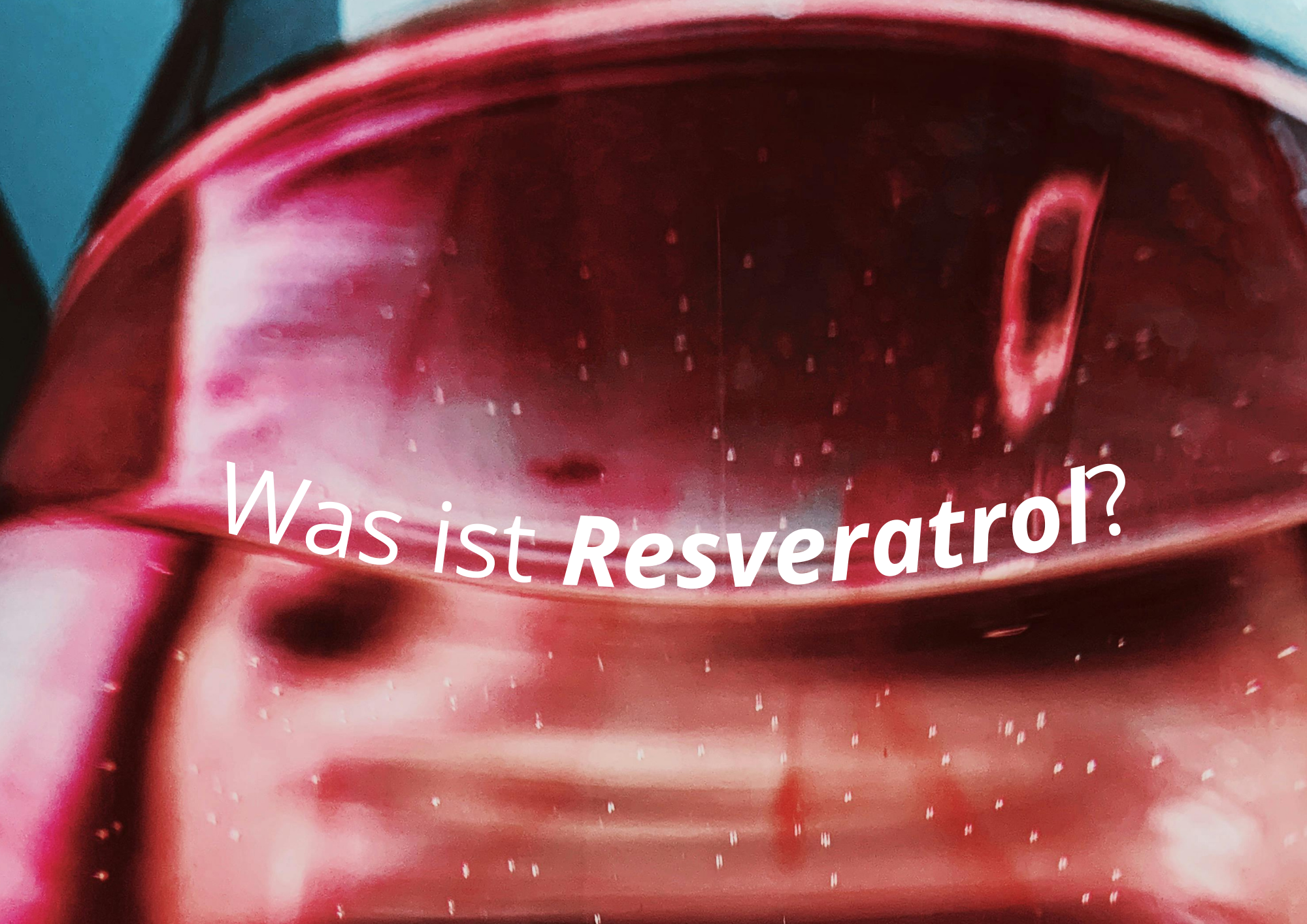 Was-ist-Resveratrol-Rotwein