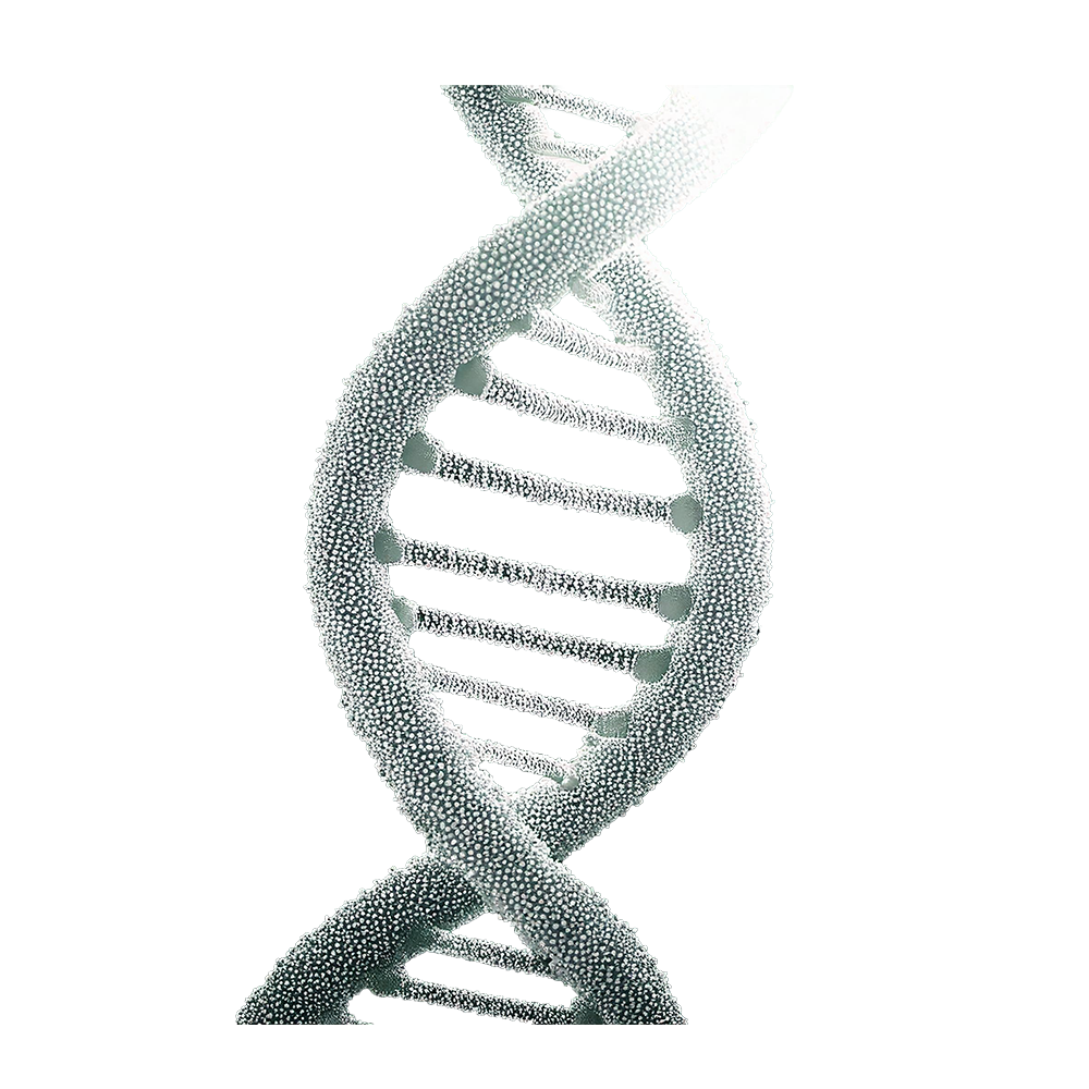 neotes-consulenza gratuita-per-entrare-nella-longevità-nel-viaggio-della-dna-elica-prodotto-immagine
